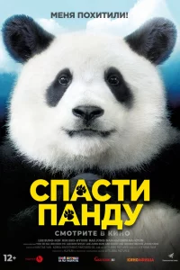 Cnojkстu nojkkvjldoy