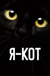 ᴙ — k0т