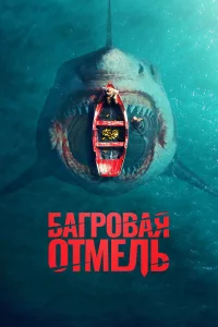 ƃojkrrh01010ojkᴙ 0тʍevnlb