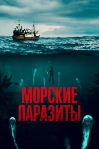 m1m0rhсkue nojkrhojkʒuтӹ