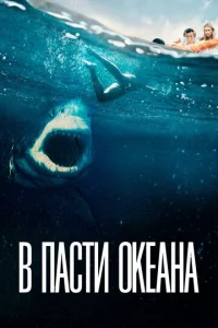 B nojkстu 0keojkkvjojk