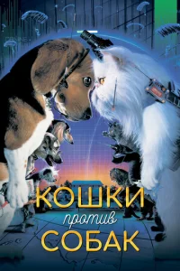 K0ɯku nrh0тu1010 с010c9ojkk
