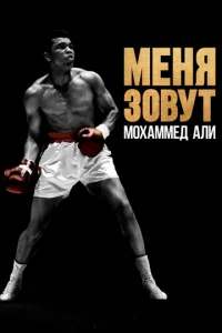 m1mekvjᴙ ʒ01010yт m1m0xojkʍʍeldo Ãvnlu